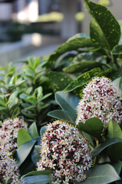 Judi Castille Barbican 2