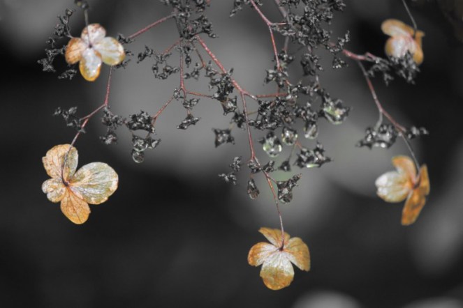 Judi Castille Floral neclace