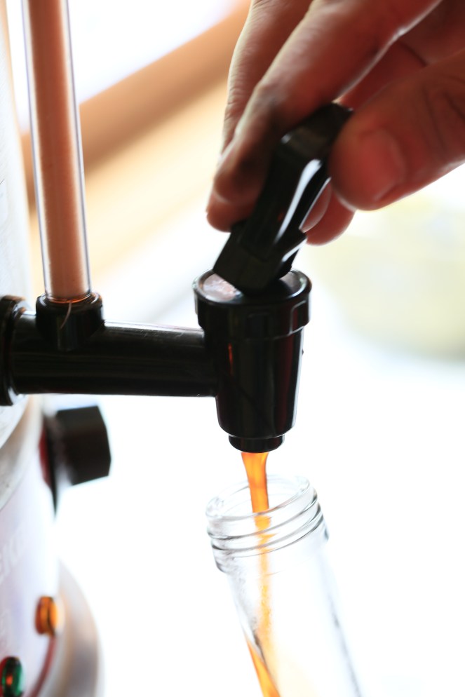 Ion Pine Cone Bud Syup bottling the syrup