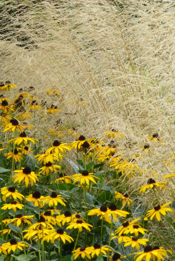 Judi Castille Late Summer