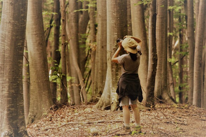 judi-castille-forest-trek