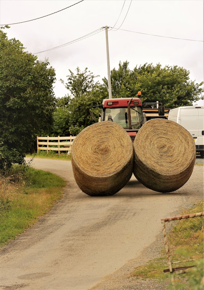 Judi Castille Bringing in the hay bales