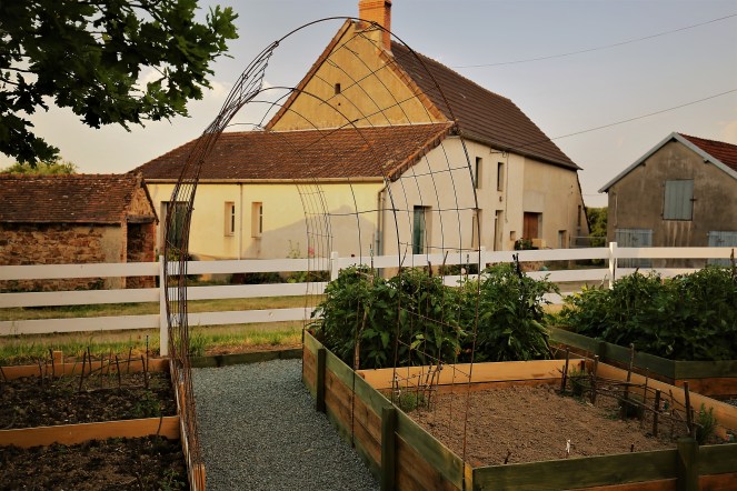 Judi Castille The ornamental garden