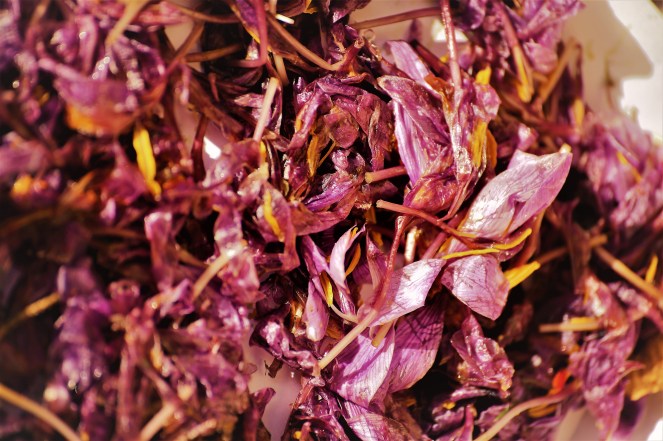 Judi Castille Close up saffron