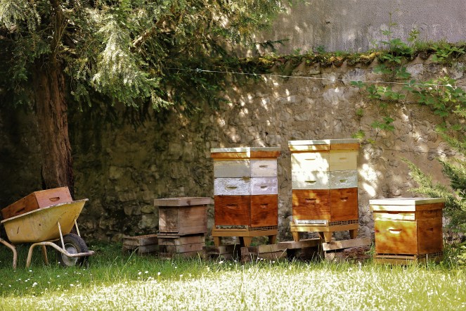 Judi Castille Chateau Du Rivau bee hives