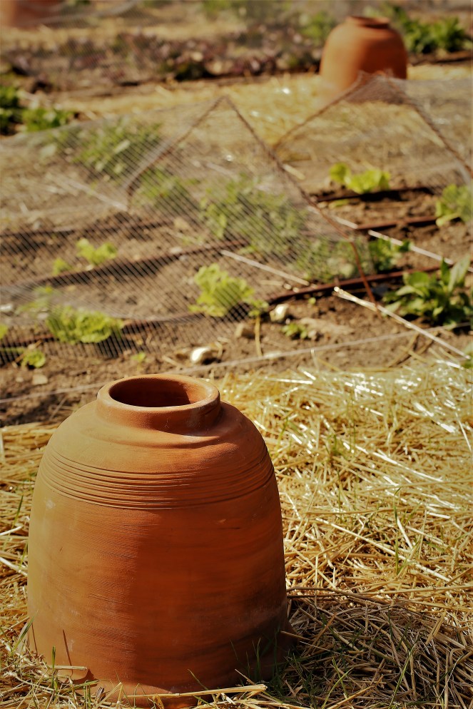 Judi Castille Chateau Du Rivau garden