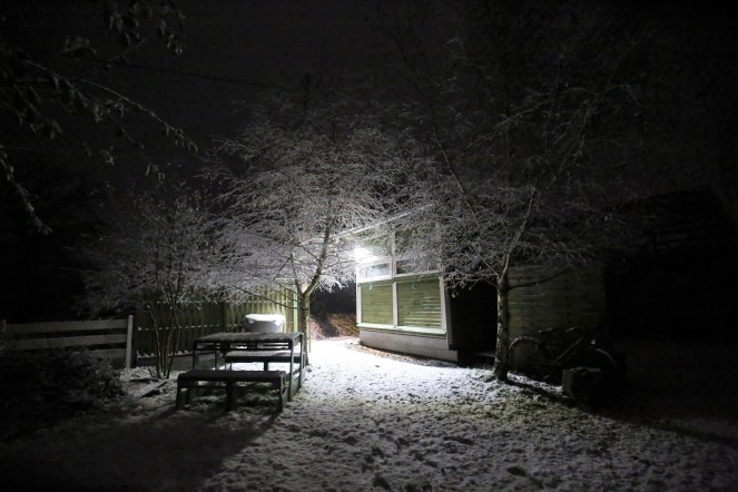 Judi Castille - snow fell