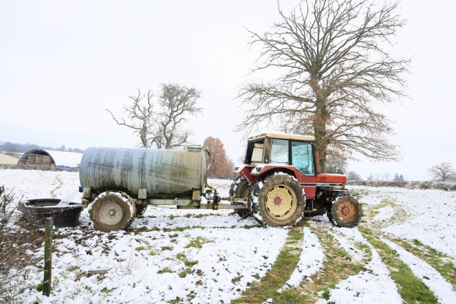 judi-castille-water-in-snow 1