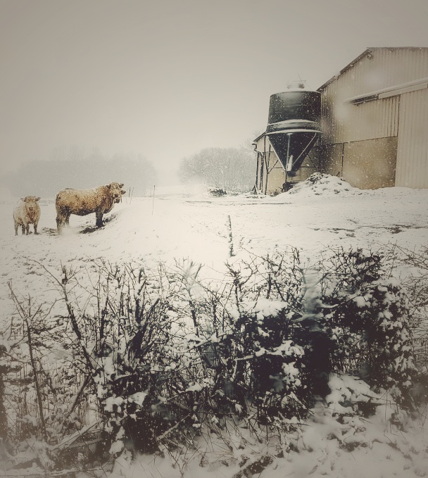 20180205_184128-506796301-02