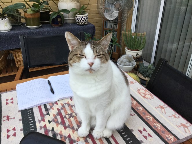 9353C70F-DD54-4614-AAC3-83B49127CD31