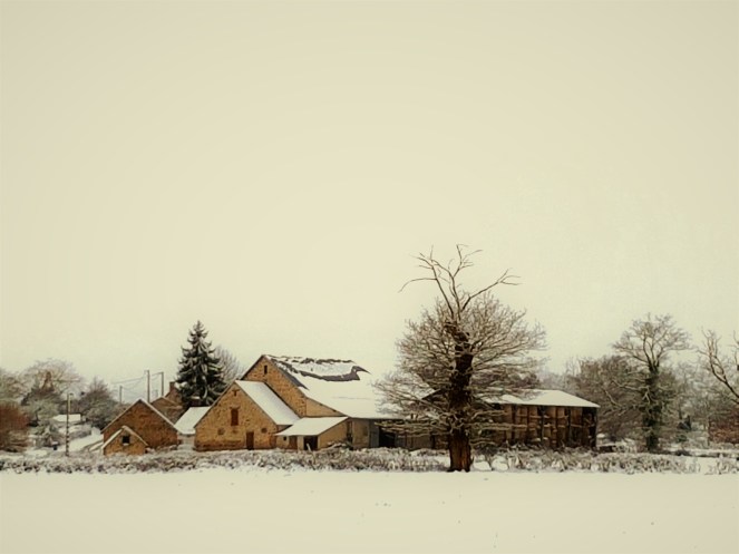 Judi Castille - Farm Buildings