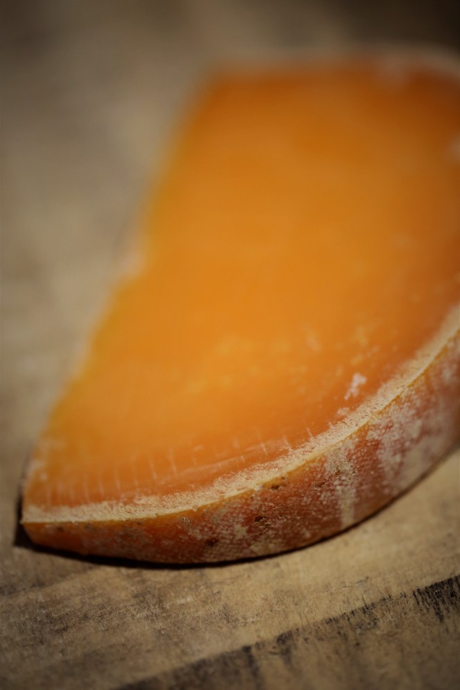 Judi Castille - Mimolette Cheese