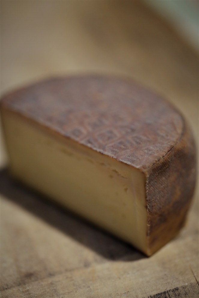 Judi Castille - Trappe Echourgnac cheese