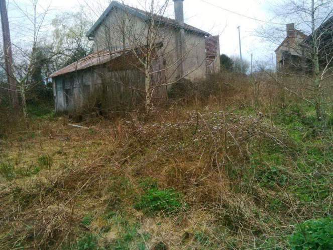 10441520_10206706144202171_5101697181845434858_n-1