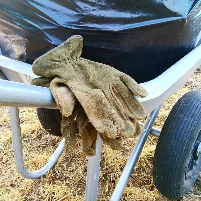 18595171_10213225311377276_8413571970515549796_o