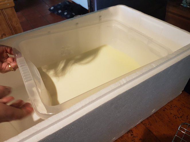 Judi Castille cheesemaking .jpg