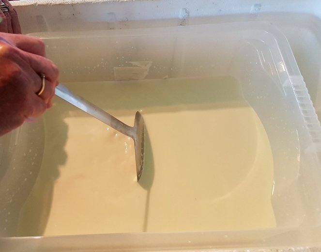 Judi Castille cheesemaking .jpg
