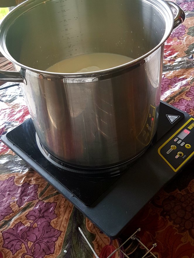 Judi Castille cheesemaking .jpg