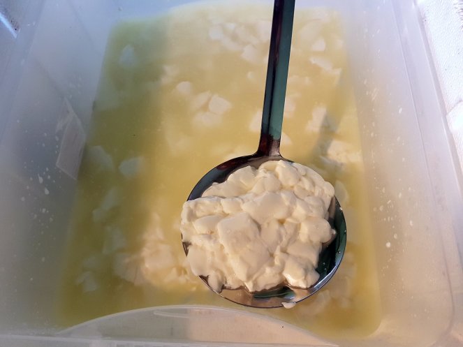 Judi Castille cheesemaking .jpg