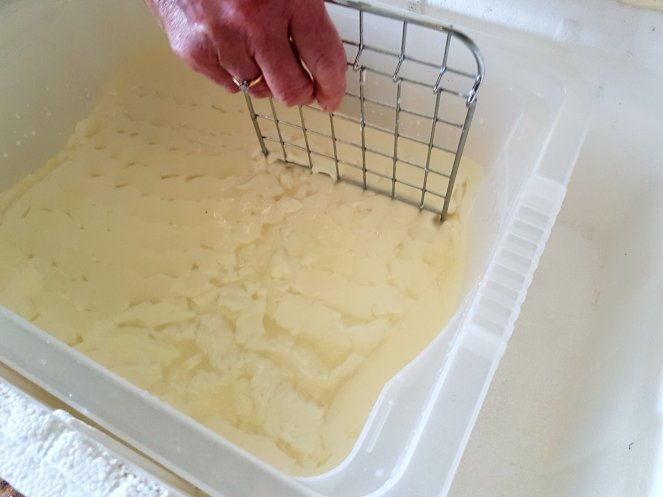 Judi Castille cheesemaking .jpg
